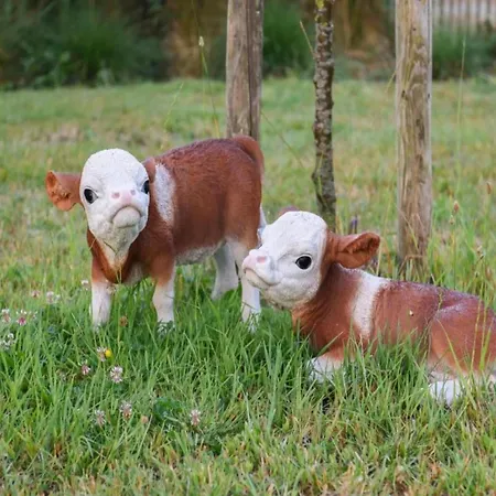 Appartamento In Near Marina *