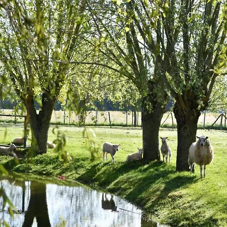 In Near Marina * Nieuwpoort
