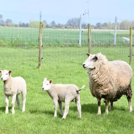 In Near Marina Lägenhet Nieuwpoort
