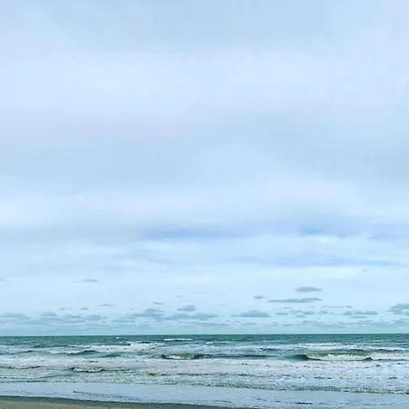 Appartamento In Near Marina