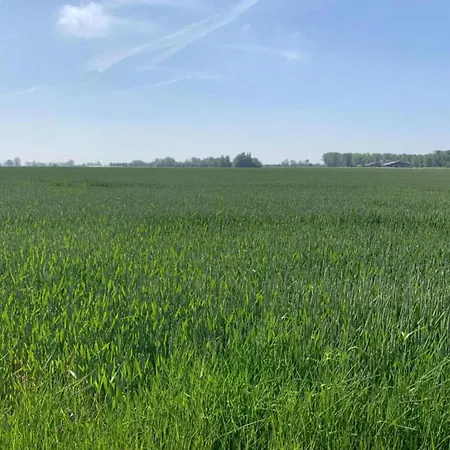 Apartamento In Near Marina Nieuwpoort