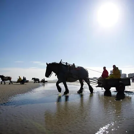 Lägenhet In Near Marina *